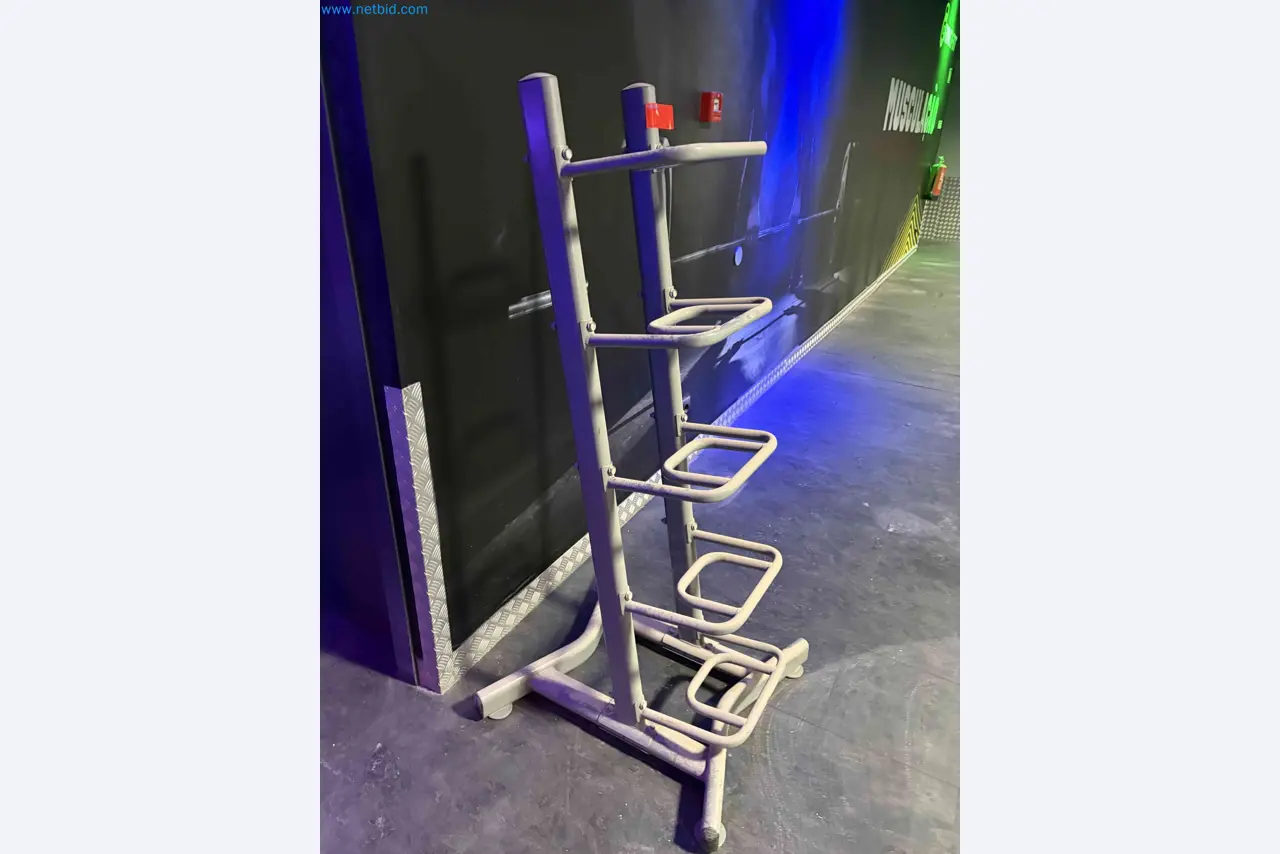 Leilão de Equipamentos de Ginásio Technogym Usados – Máquinas de Fitness Profissionais-2