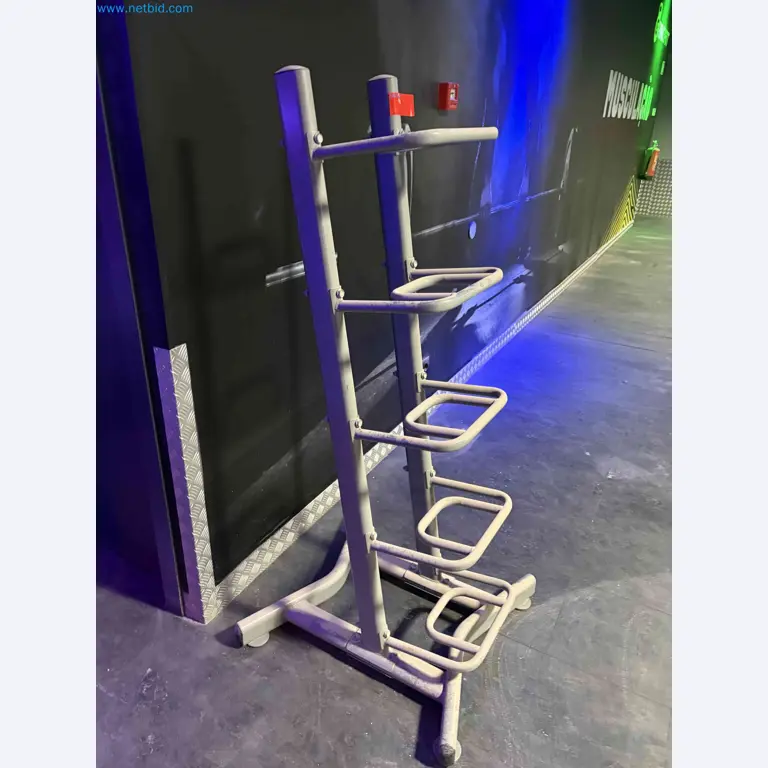 Leilão de Equipamentos de Ginásio Technogym Usados – Máquinas de Fitness Profissionais-2