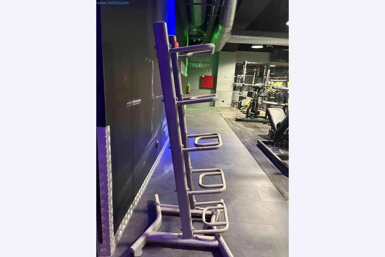 Leilão de Equipamentos de Ginásio Technogym Usados – Máquinas de Fitness Profissionais-3