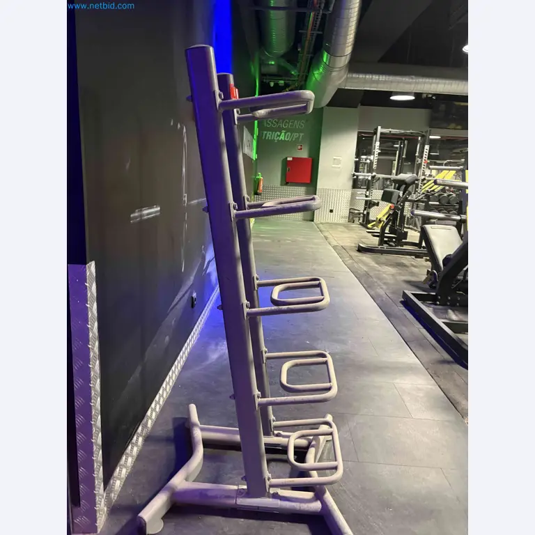 Leilão de Equipamentos de Ginásio Technogym Usados – Máquinas de Fitness Profissionais-3