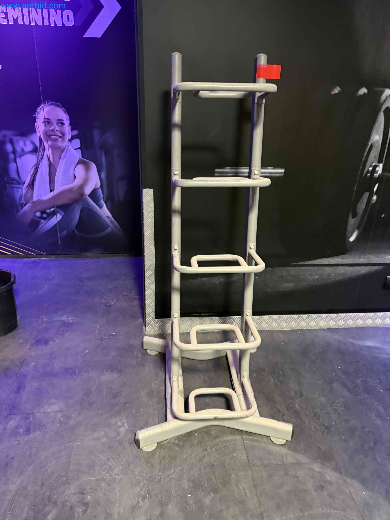 Auction of Used Technogym Gym Equipment – Professional Fitness Machines-4