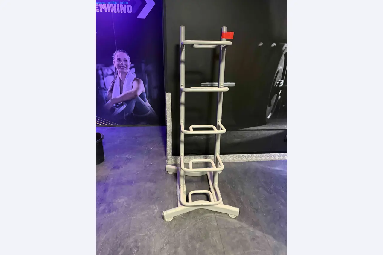 Leilão de Equipamentos de Ginásio Technogym Usados – Máquinas de Fitness Profissionais-4