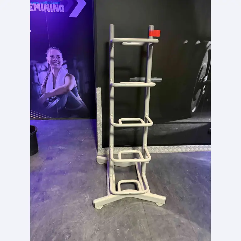 Leilão de Equipamentos de Ginásio Technogym Usados – Máquinas de Fitness Profissionais-4