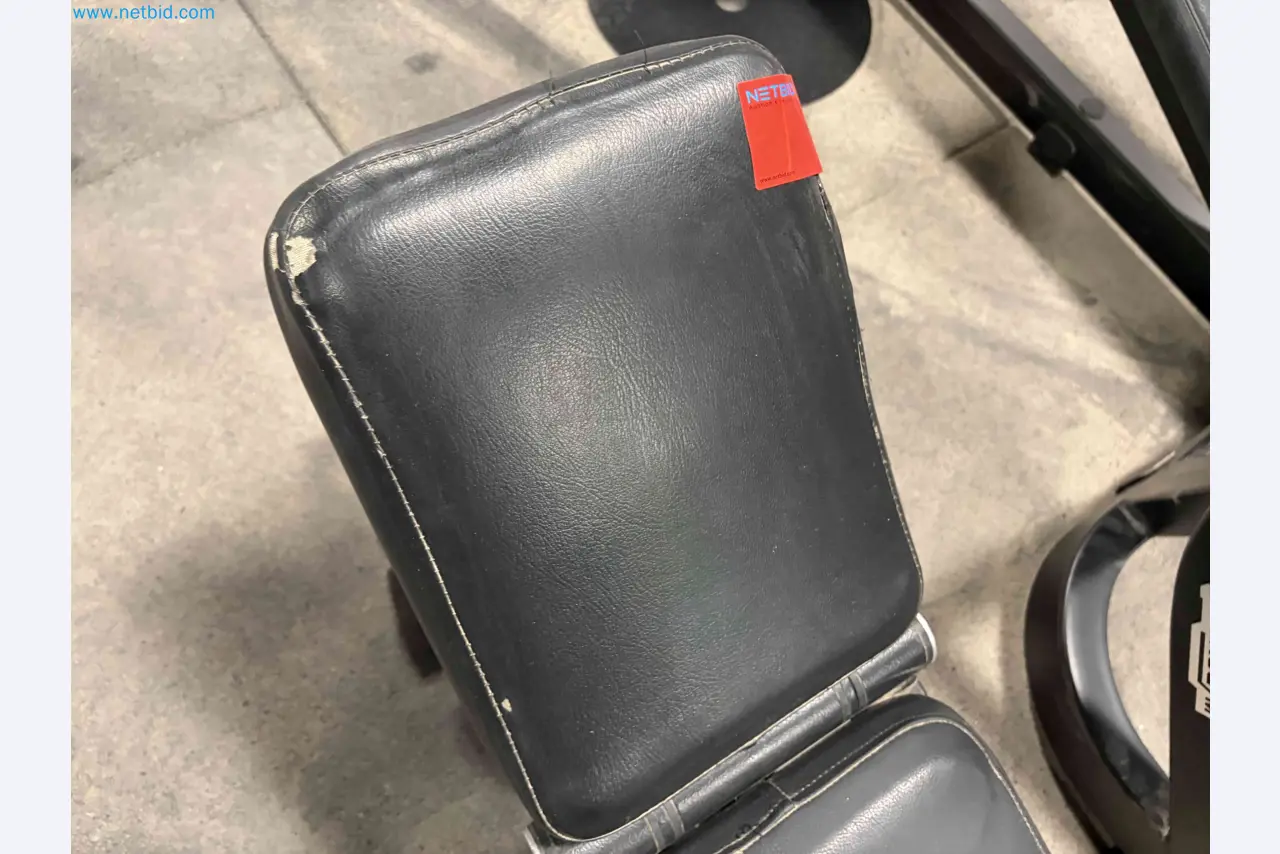 Leilão de Equipamentos de Ginásio Technogym Usados – Máquinas de Fitness Profissionais-3