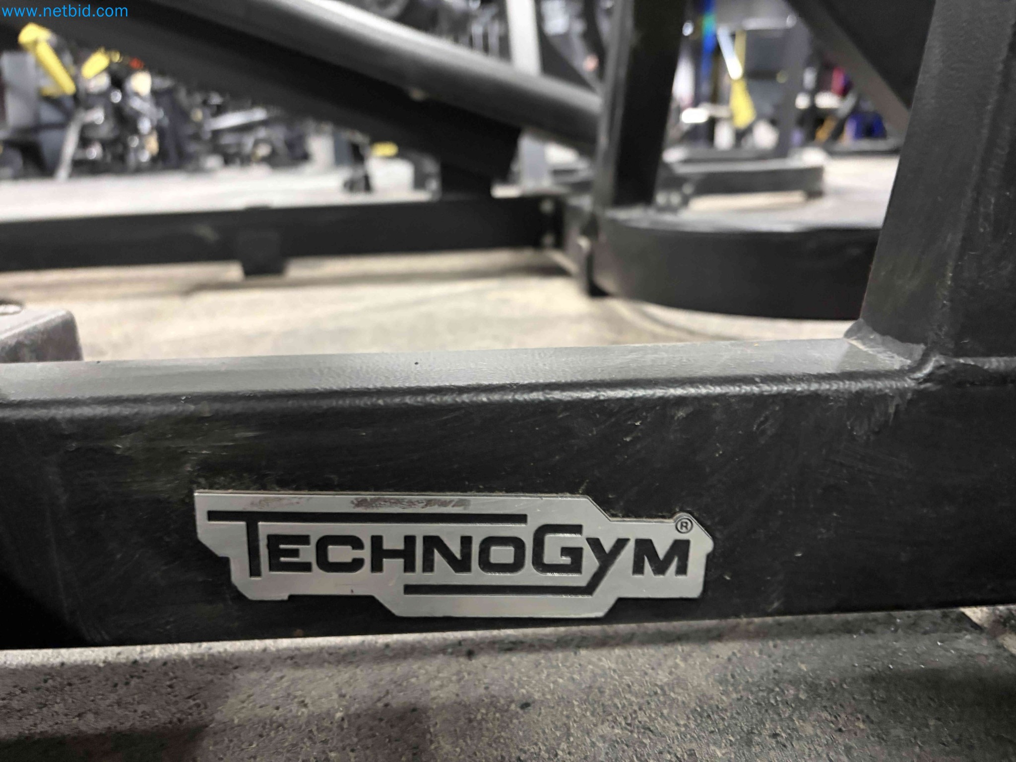 Auction of Used Technogym Gym Equipment – Professional Fitness Machines-6