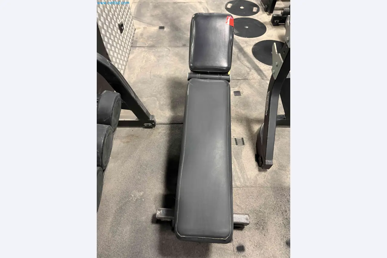 Leilão de Equipamentos de Ginásio Technogym Usados – Máquinas de Fitness Profissionais-8