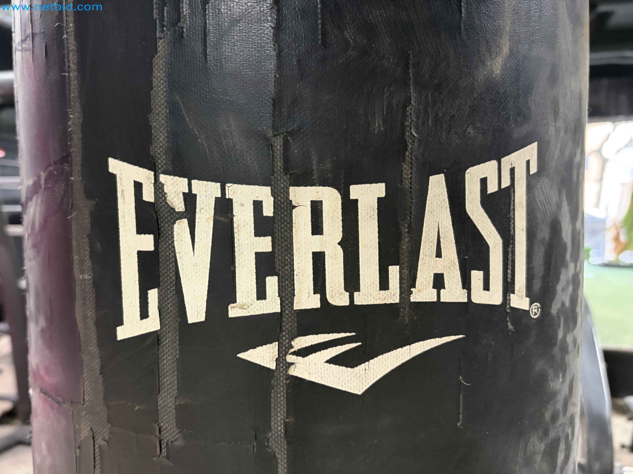 Auction of Used Technogym Gym Equipment – Professional Fitness Machines-10