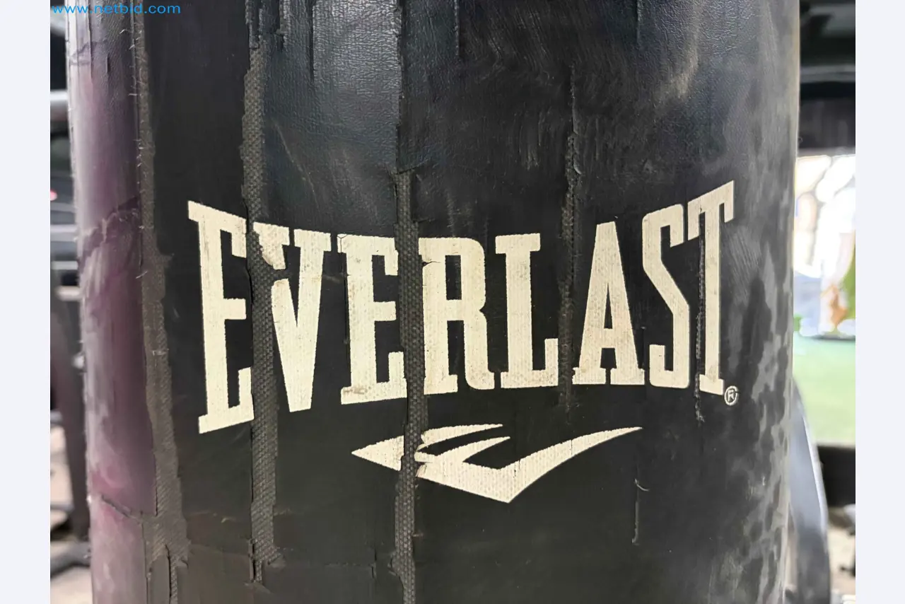 Vente aux enchères de matériel de fitness Technogym d'occasion - Appareils de fitness professionnels-10