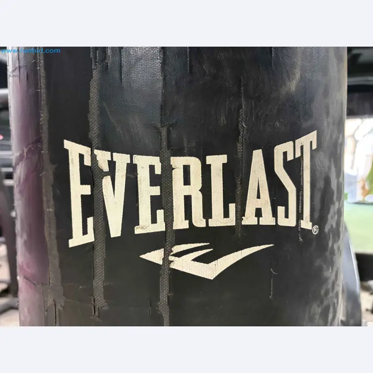 Vente aux enchères de matériel de fitness Technogym d'occasion - Appareils de fitness professionnels-10