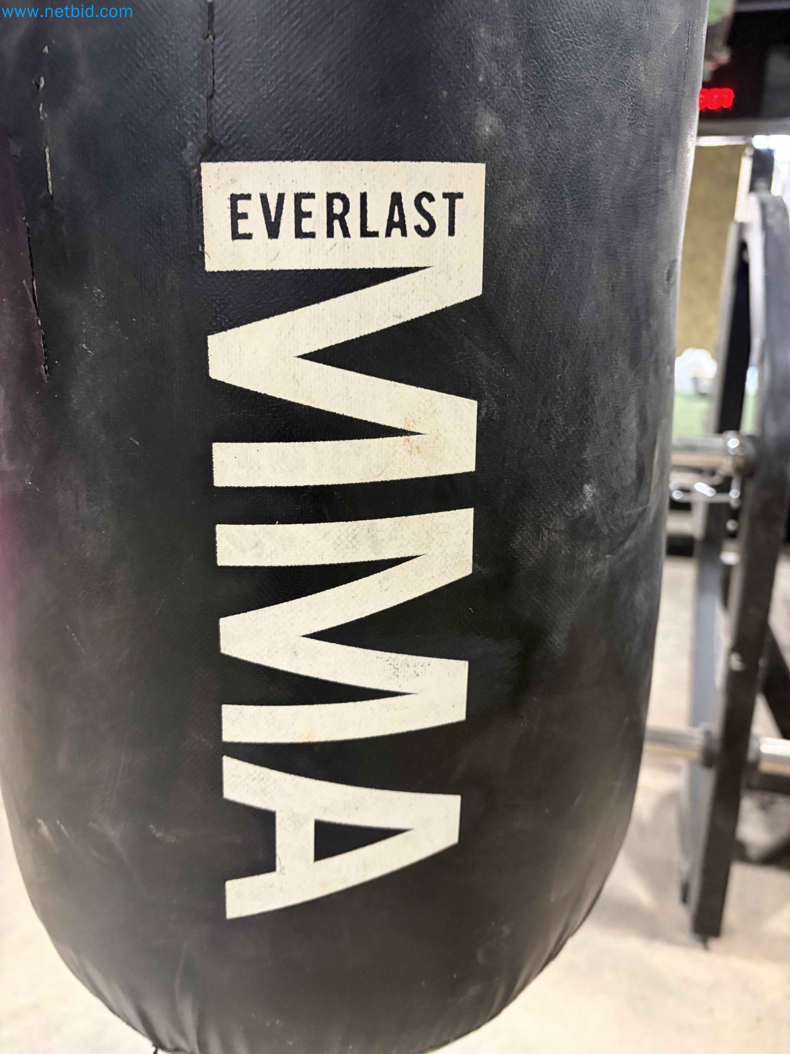 Auction of Used Technogym Gym Equipment – Professional Fitness Machines-11