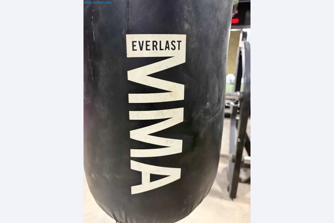 Vente aux enchères de matériel de fitness Technogym d'occasion - Appareils de fitness professionnels-11