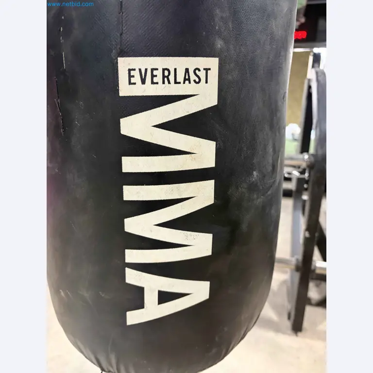 Vente aux enchères de matériel de fitness Technogym d'occasion - Appareils de fitness professionnels-11