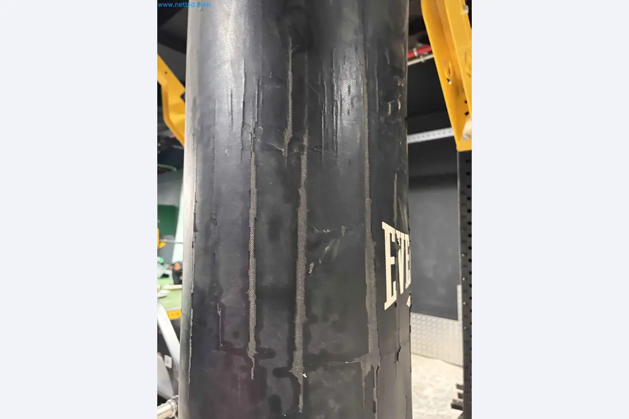 Vente aux enchères de matériel de fitness Technogym d'occasion - Appareils de fitness professionnels-12