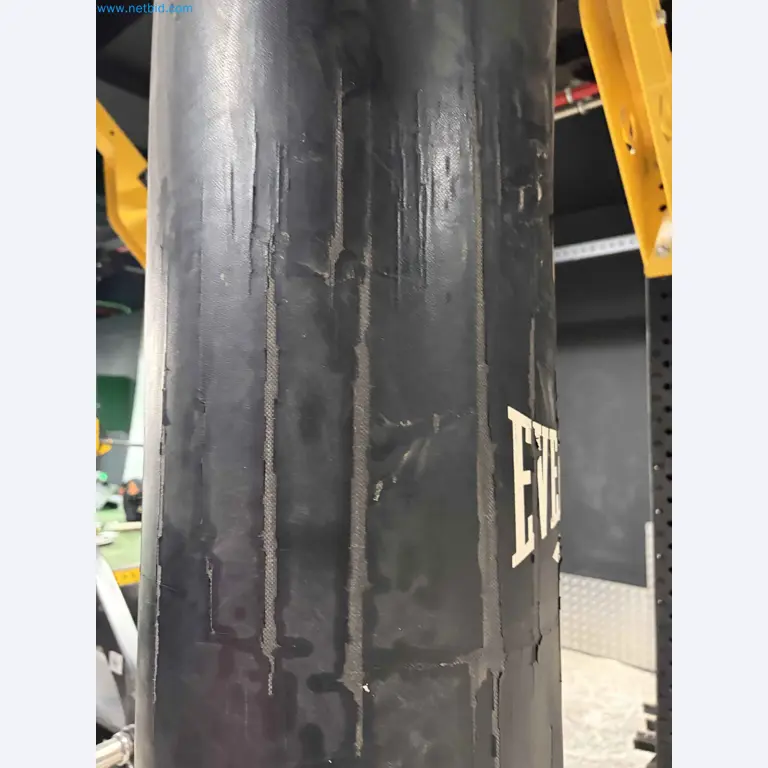 Vente aux enchères de matériel de fitness Technogym d'occasion - Appareils de fitness professionnels-12