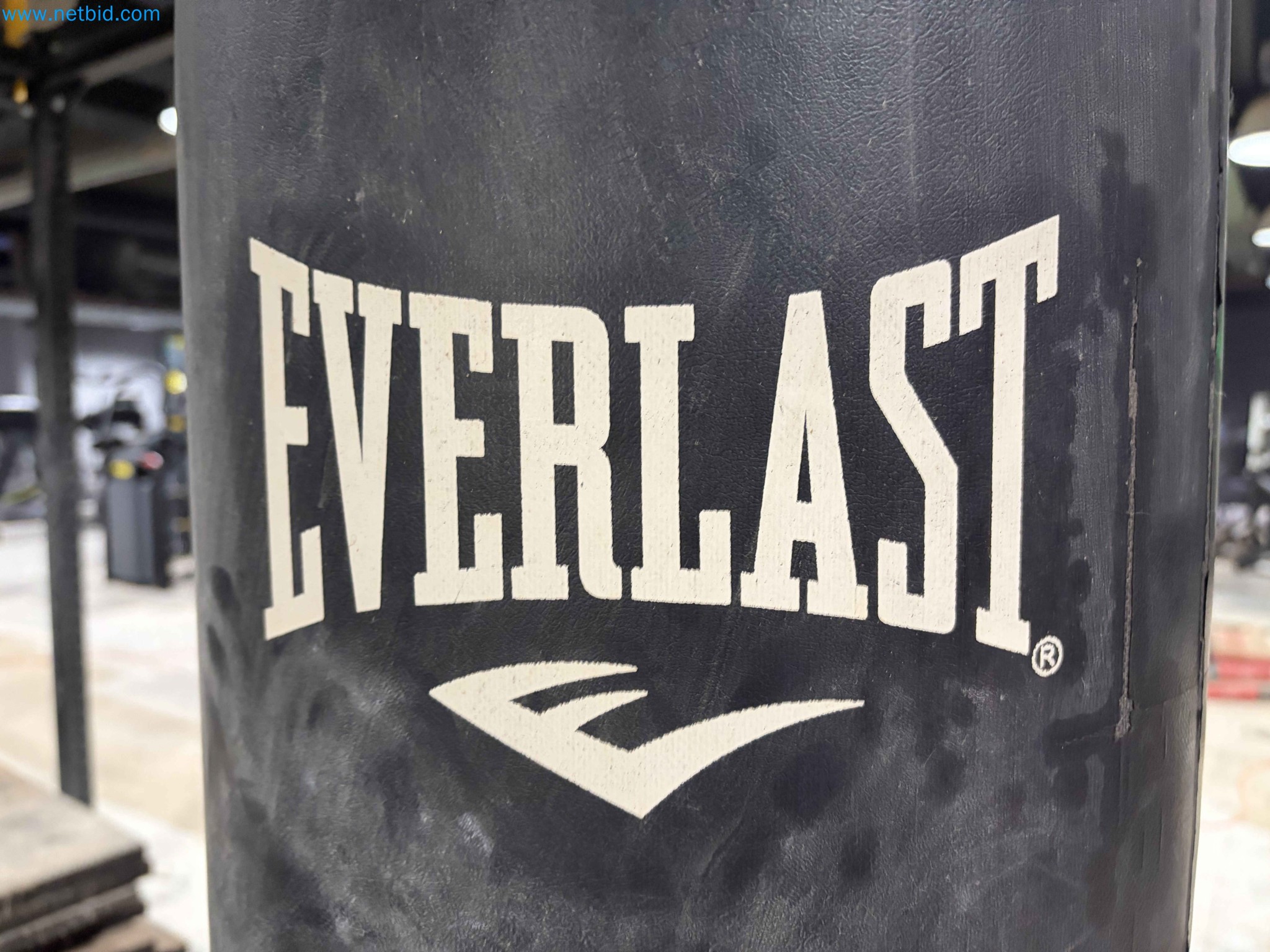 Auction of Used Technogym Gym Equipment – Professional Fitness Machines-13