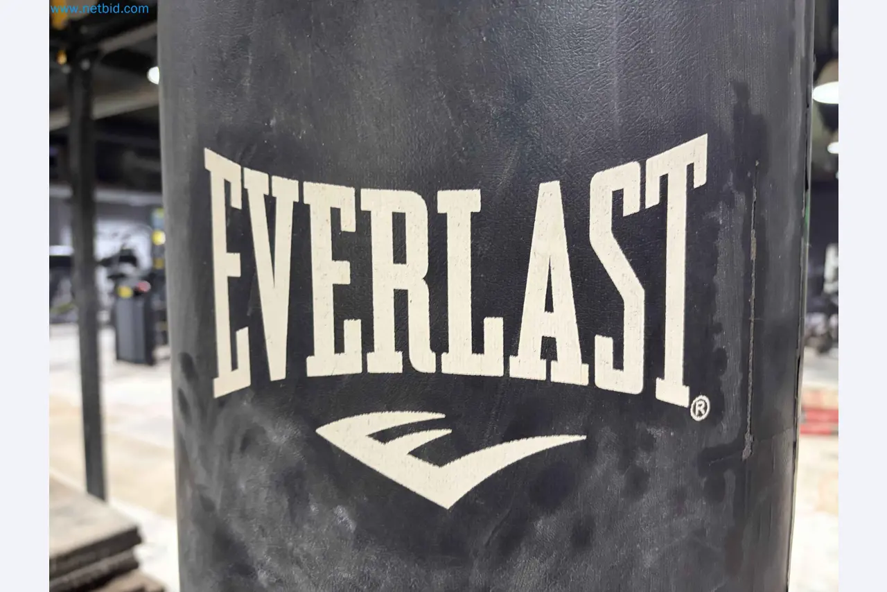 Vente aux enchères de matériel de fitness Technogym d'occasion - Appareils de fitness professionnels-13