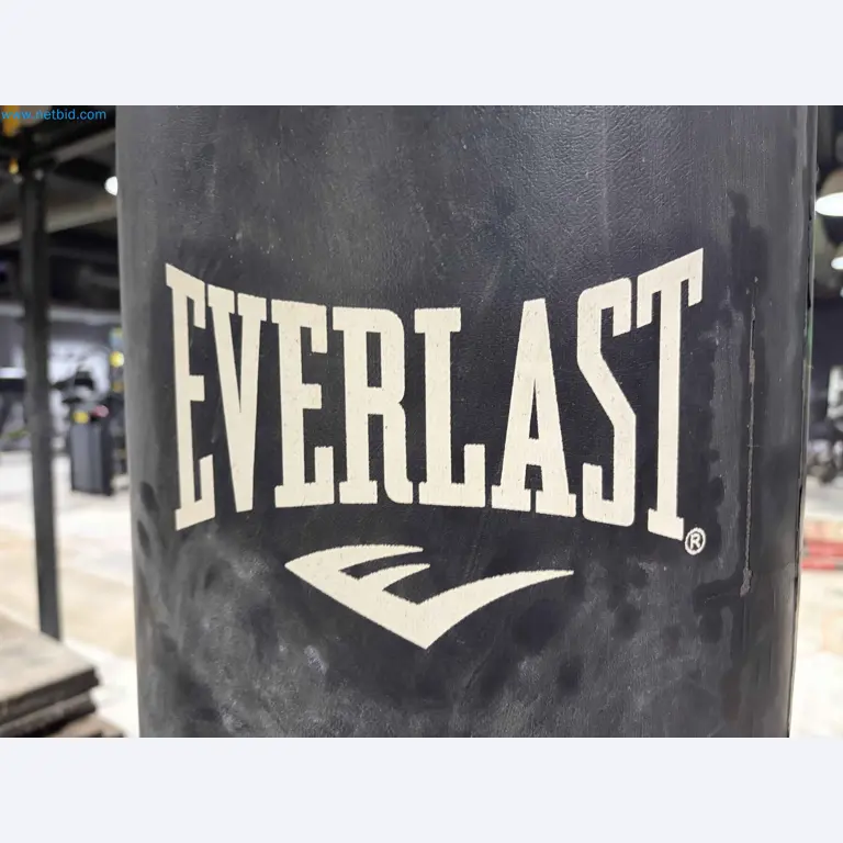 Vente aux enchères de matériel de fitness Technogym d'occasion - Appareils de fitness professionnels-13