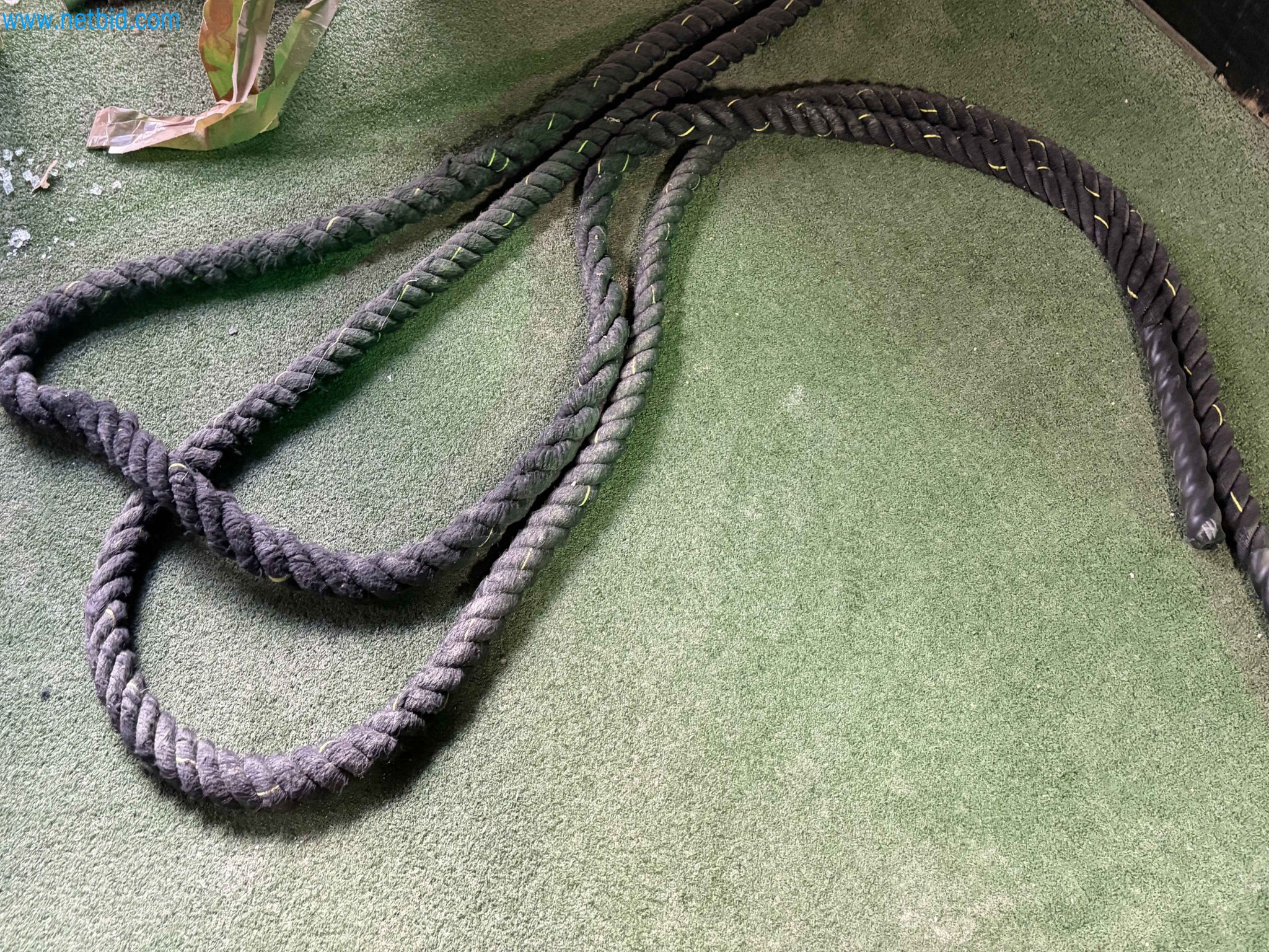 Auction of Used Technogym Gym Equipment – Professional Fitness Machines-14