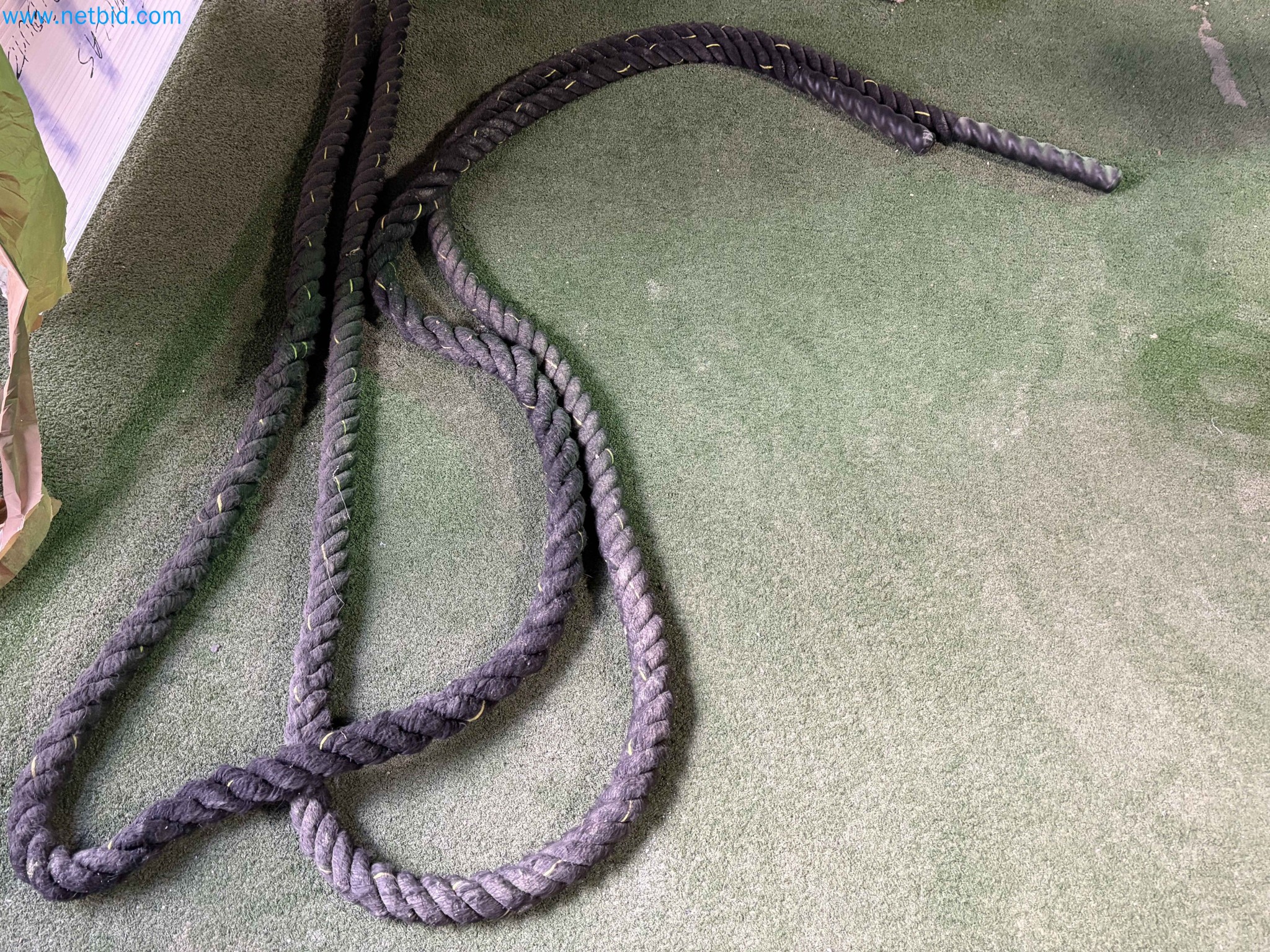 Auction of Used Technogym Gym Equipment – Professional Fitness Machines-16