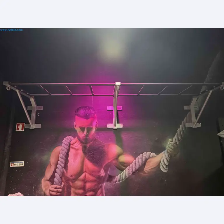 Vente aux enchères de matériel de fitness Technogym d'occasion - Appareils de fitness professionnels-1