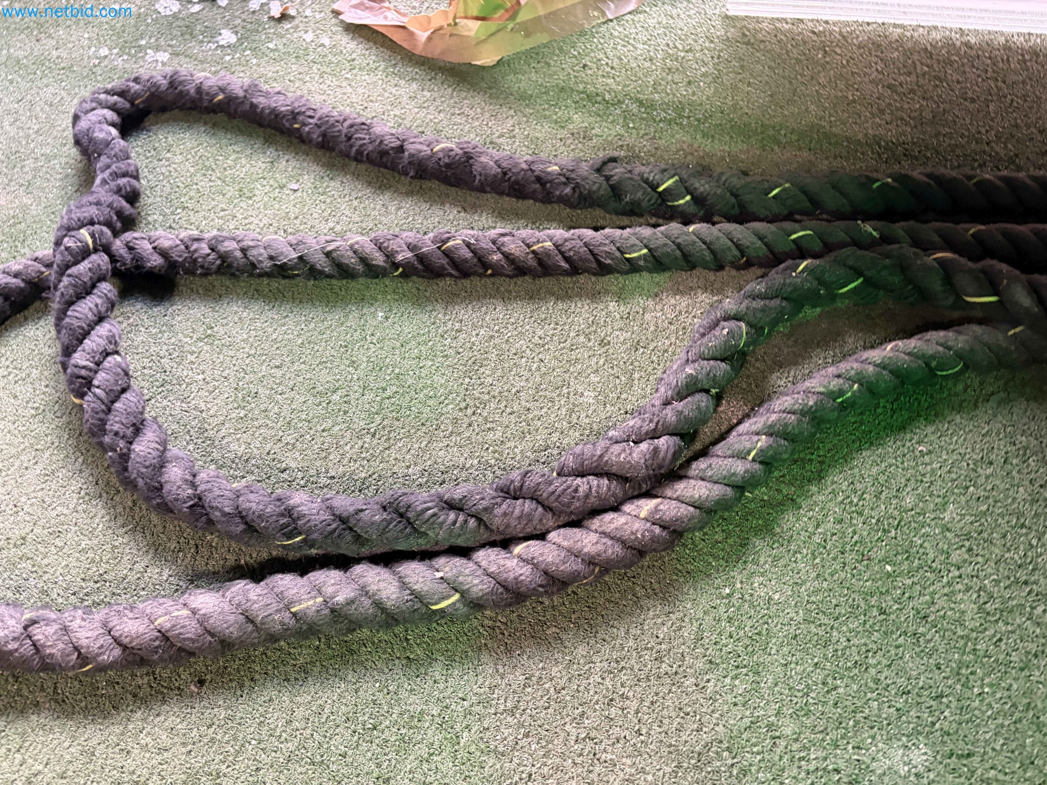 Auction of Used Technogym Gym Equipment – Professional Fitness Machines-20