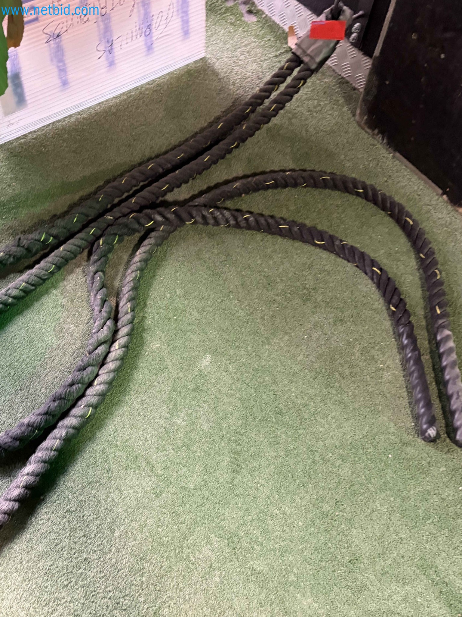 Auction of Used Technogym Gym Equipment – Professional Fitness Machines-21