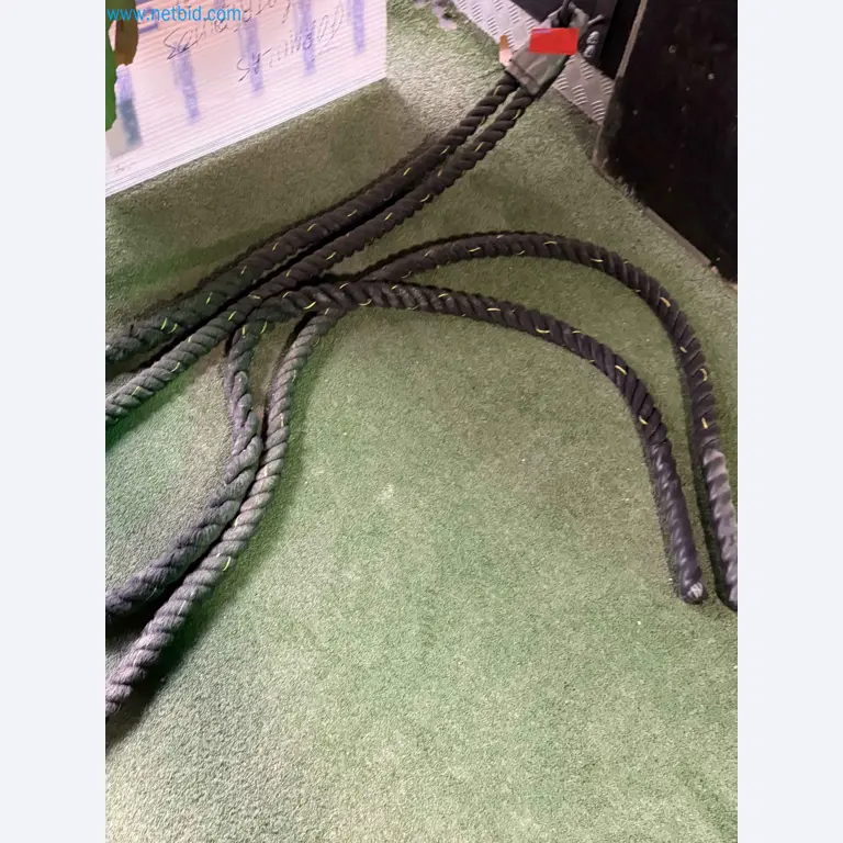 Vente aux enchères de matériel de fitness Technogym d'occasion - Appareils de fitness professionnels-21