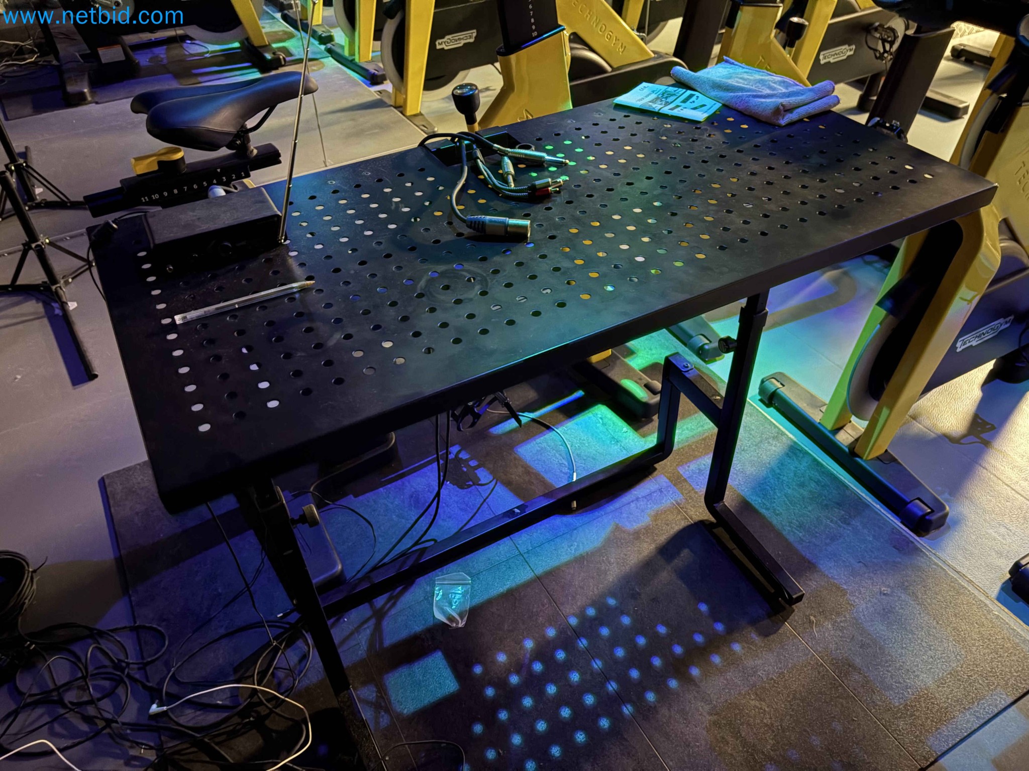 Auction of Used Technogym Gym Equipment – Professional Fitness Machines-24