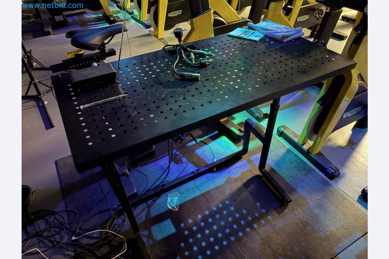 Vente aux enchères de matériel de fitness Technogym d'occasion - Appareils de fitness professionnels-24