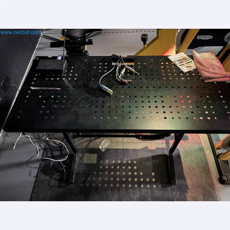 Vente aux enchères de matériel de fitness Technogym d'occasion - Appareils de fitness professionnels-25