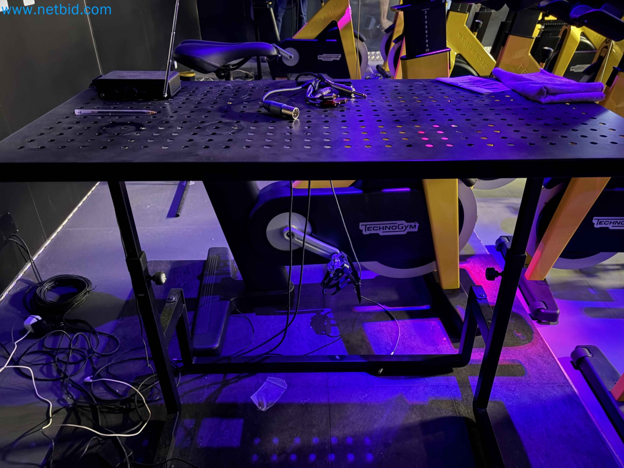 Auction of Used Technogym Gym Equipment – Professional Fitness Machines-26