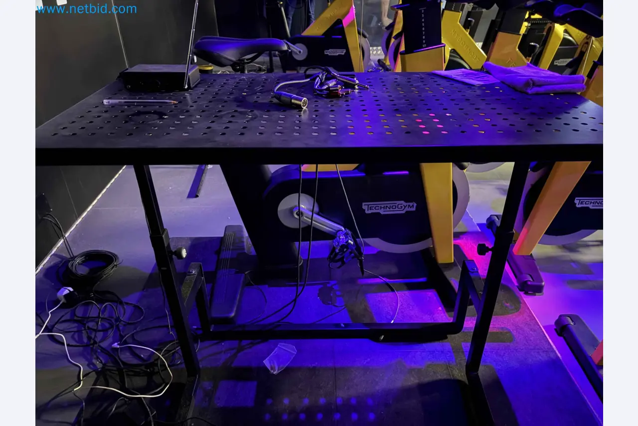 Vente aux enchères de matériel de fitness Technogym d'occasion - Appareils de fitness professionnels-26