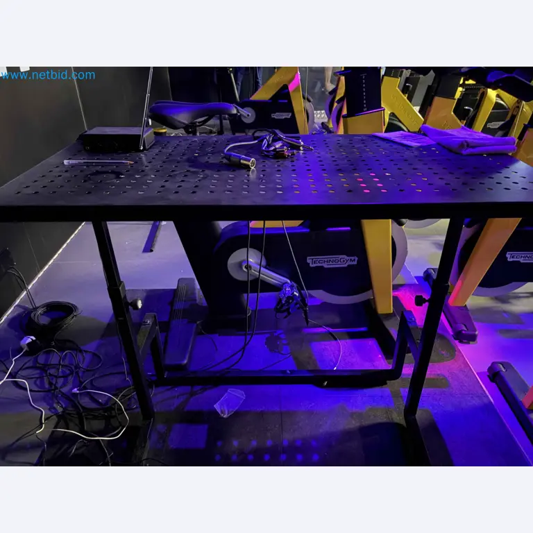 Vente aux enchères de matériel de fitness Technogym d'occasion - Appareils de fitness professionnels-26