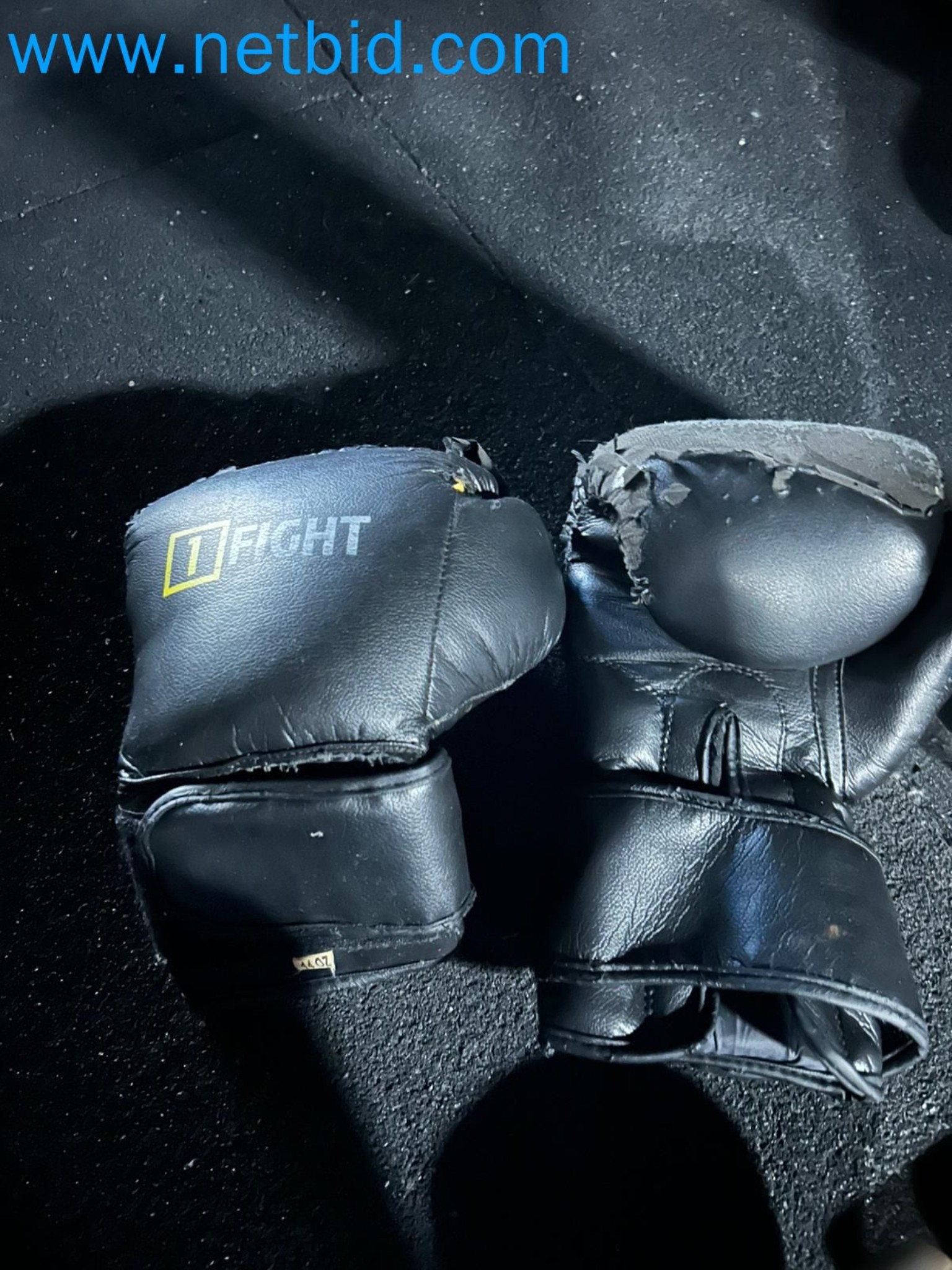 Auction of Used Technogym Gym Equipment – Professional Fitness Machines-36