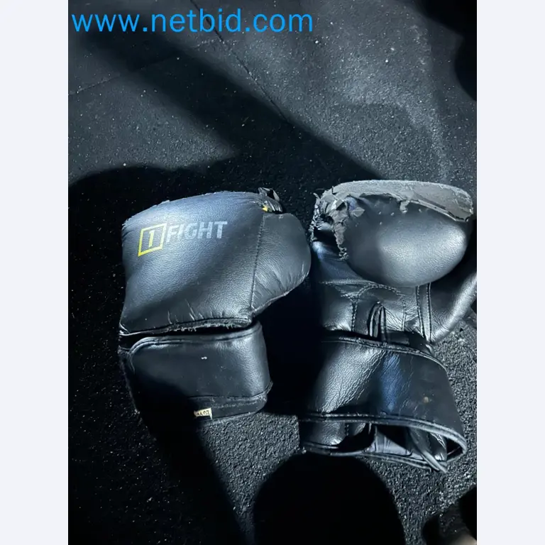 Vente aux enchères de matériel de fitness Technogym d'occasion - Appareils de fitness professionnels-36