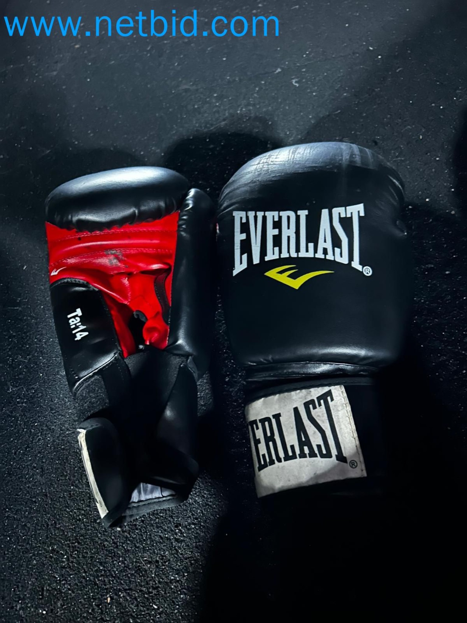 Auction of Used Technogym Gym Equipment – Professional Fitness Machines-37