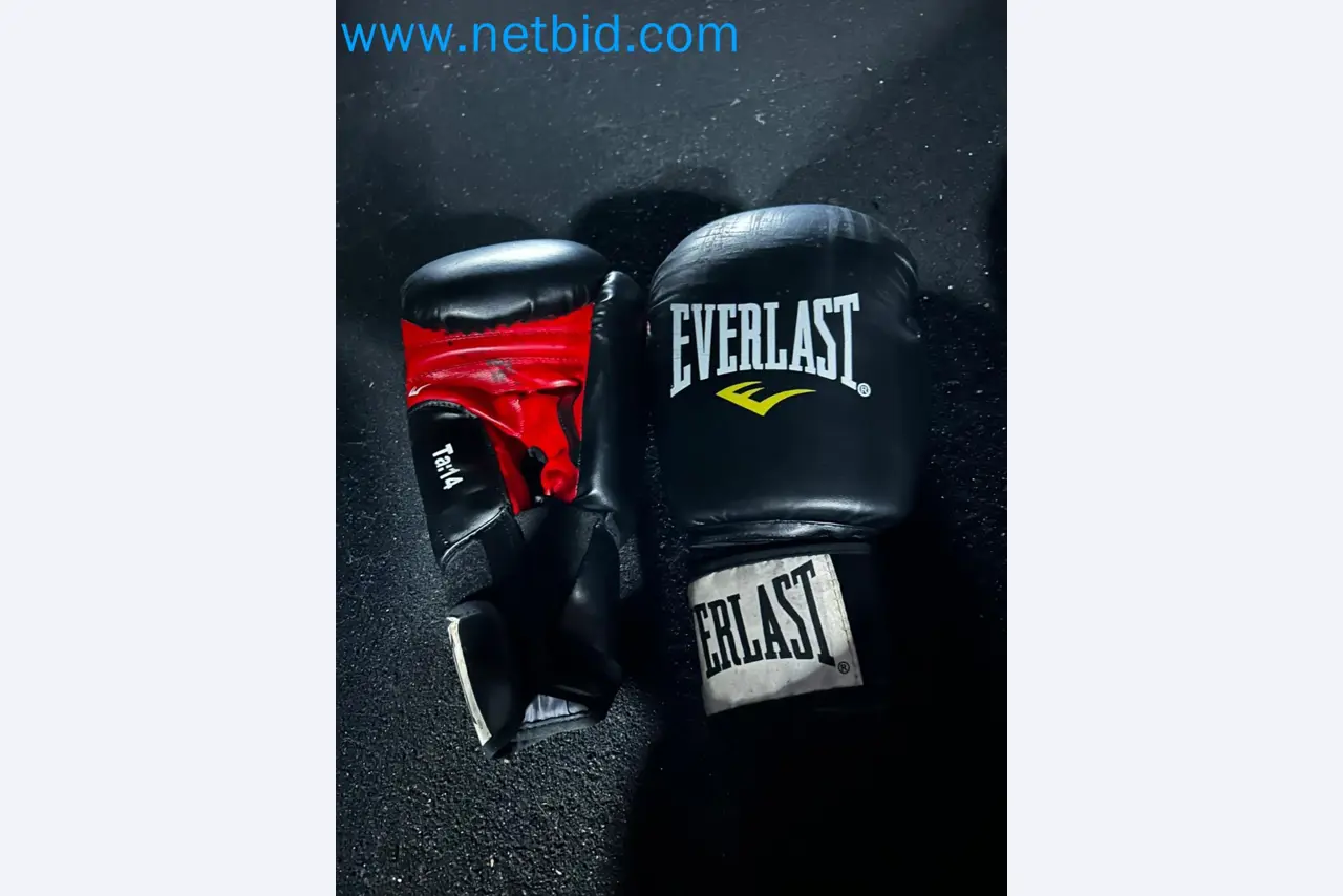 Vente aux enchères de matériel de fitness Technogym d'occasion - Appareils de fitness professionnels-37