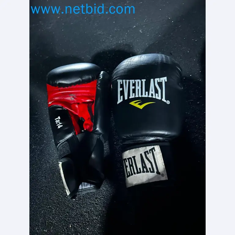 Vente aux enchères de matériel de fitness Technogym d'occasion - Appareils de fitness professionnels-37