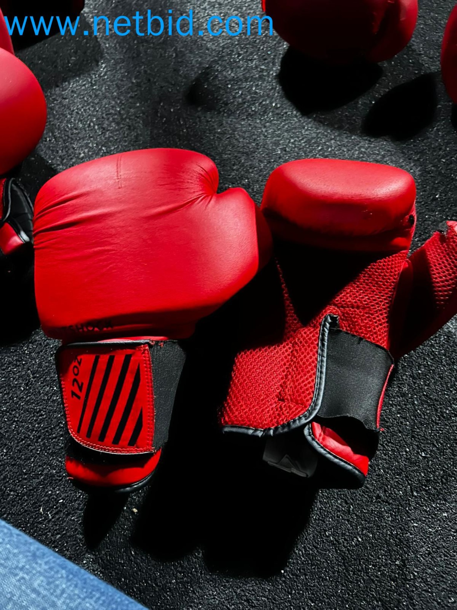 Auction of Used Technogym Gym Equipment – Professional Fitness Machines-38