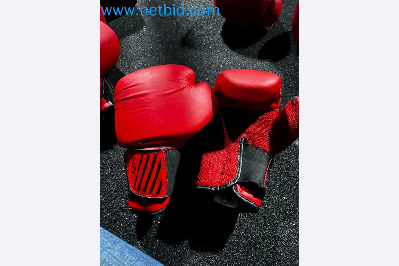 Vente aux enchères de matériel de fitness Technogym d'occasion - Appareils de fitness professionnels-38