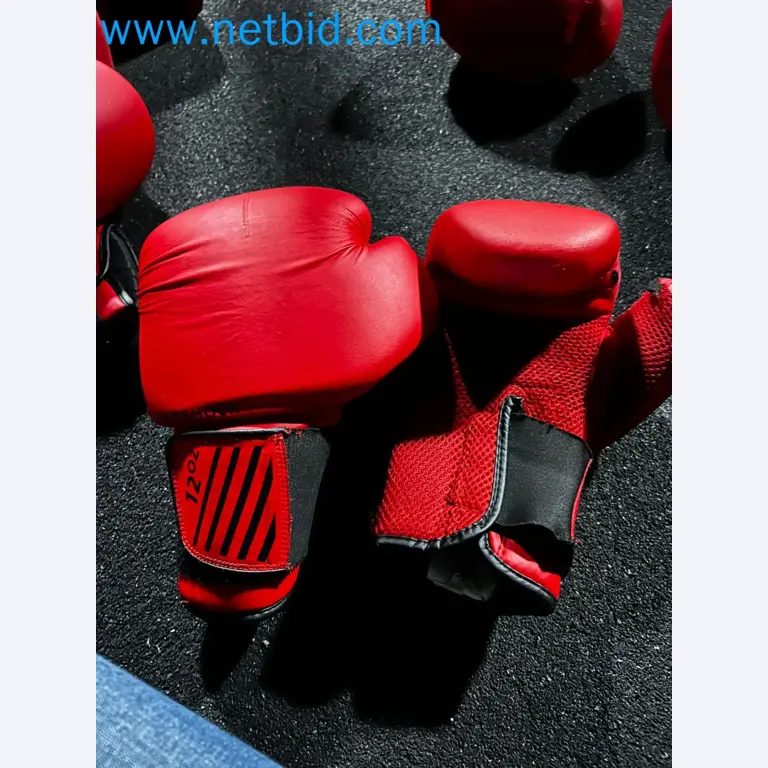 Vente aux enchères de matériel de fitness Technogym d'occasion - Appareils de fitness professionnels-38