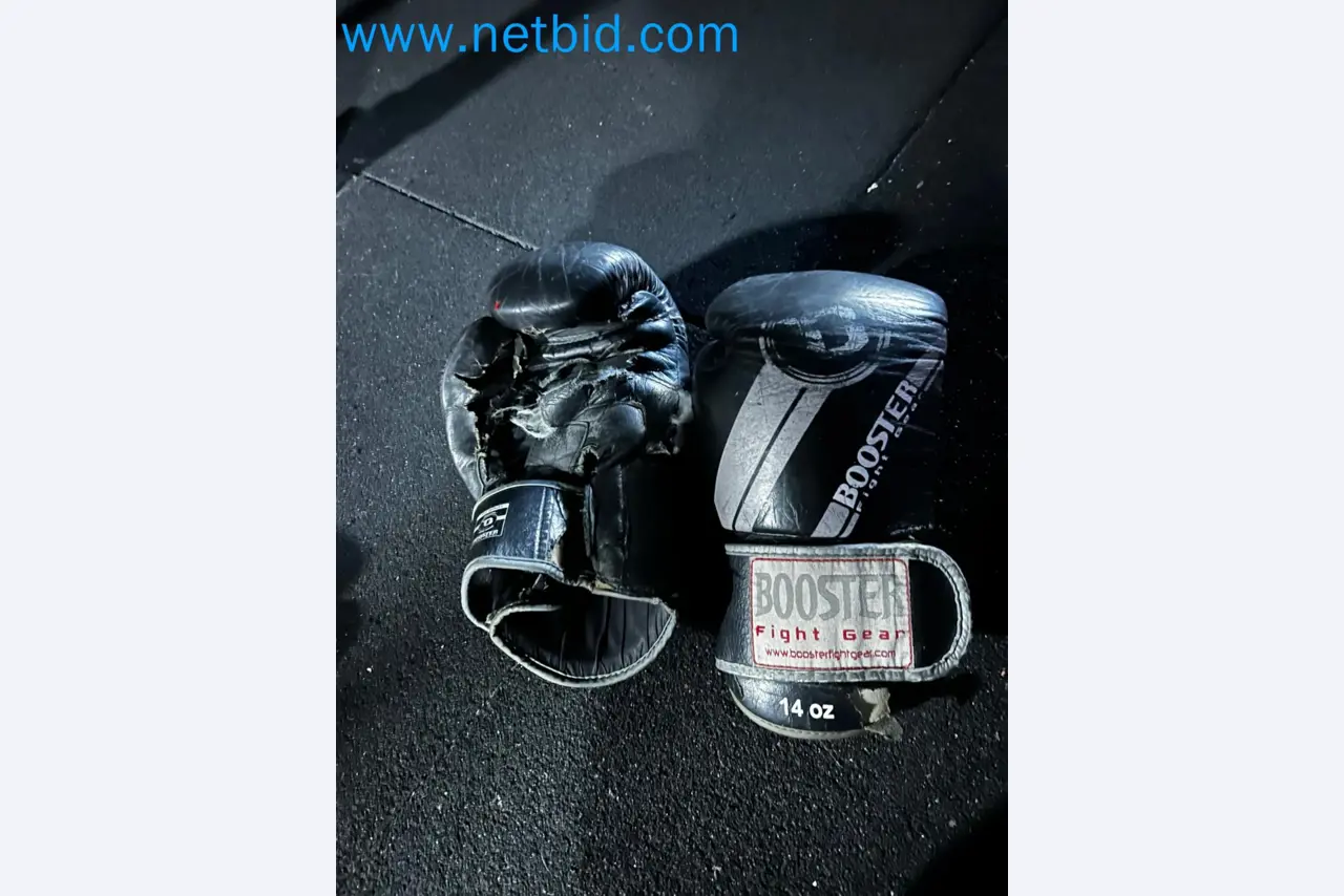 Vente aux enchères de matériel de fitness Technogym d'occasion - Appareils de fitness professionnels-39