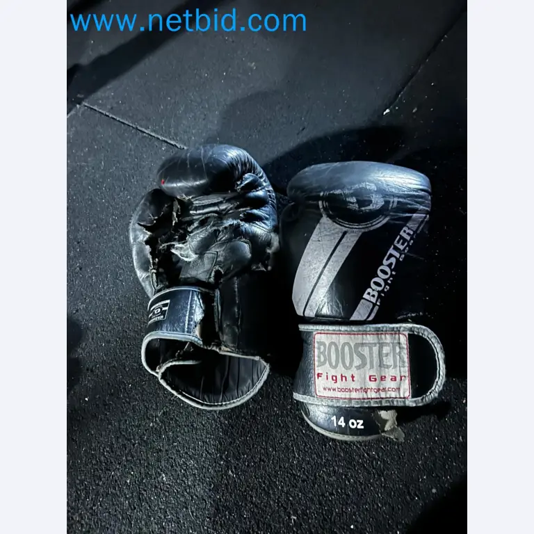 Vente aux enchères de matériel de fitness Technogym d'occasion - Appareils de fitness professionnels-39