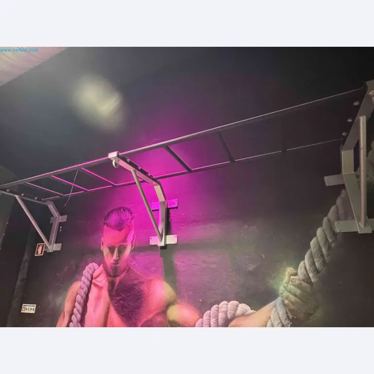 Vente aux enchères de matériel de fitness Technogym d'occasion - Appareils de fitness professionnels-3