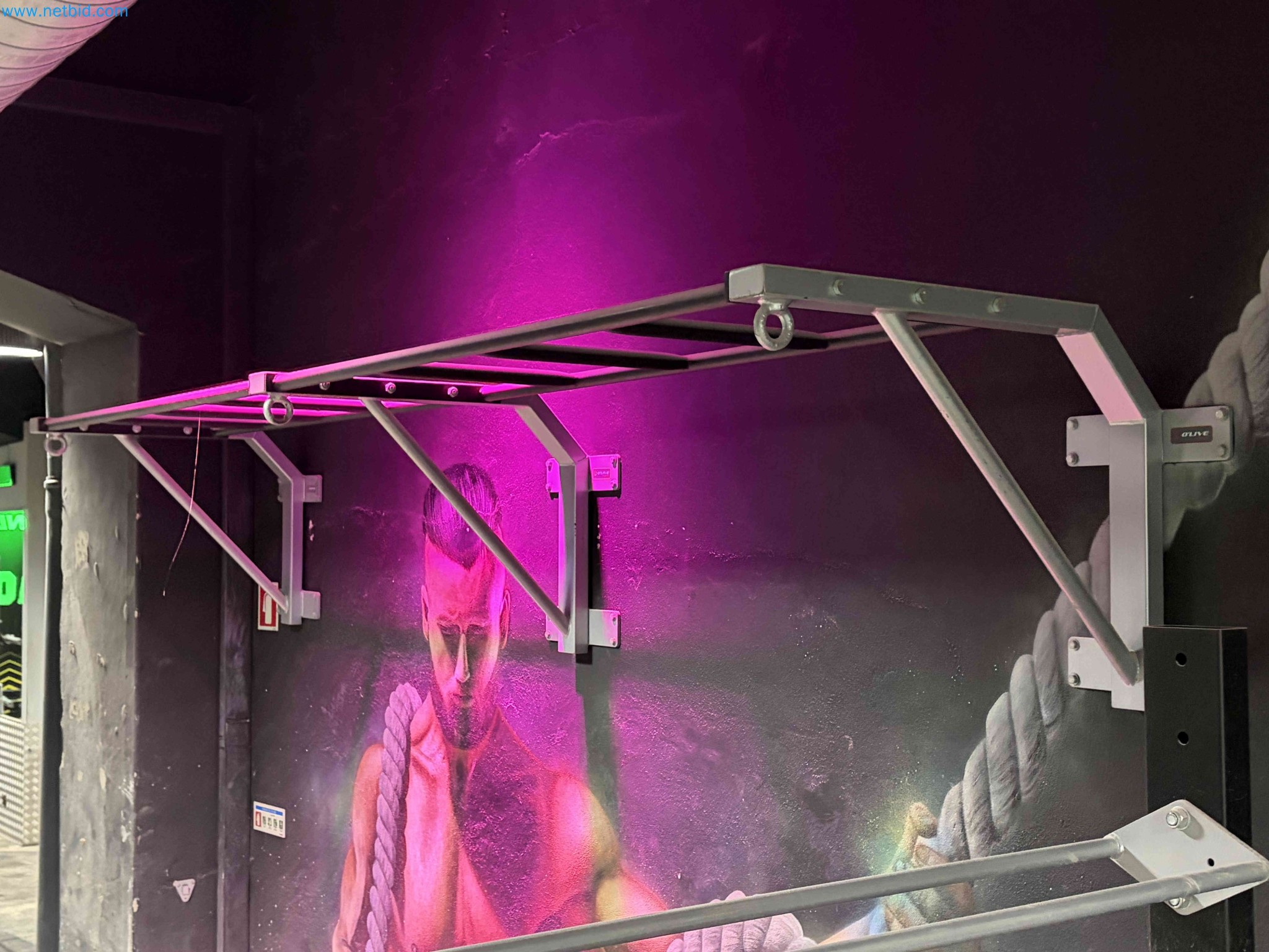 Auction of Used Technogym Gym Equipment – Professional Fitness Machines-4