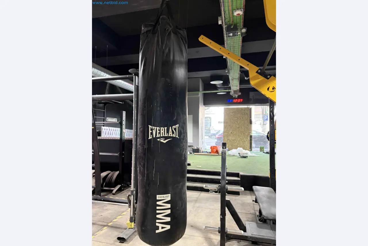 Vente aux enchères de matériel de fitness Technogym d'occasion - Appareils de fitness professionnels-7