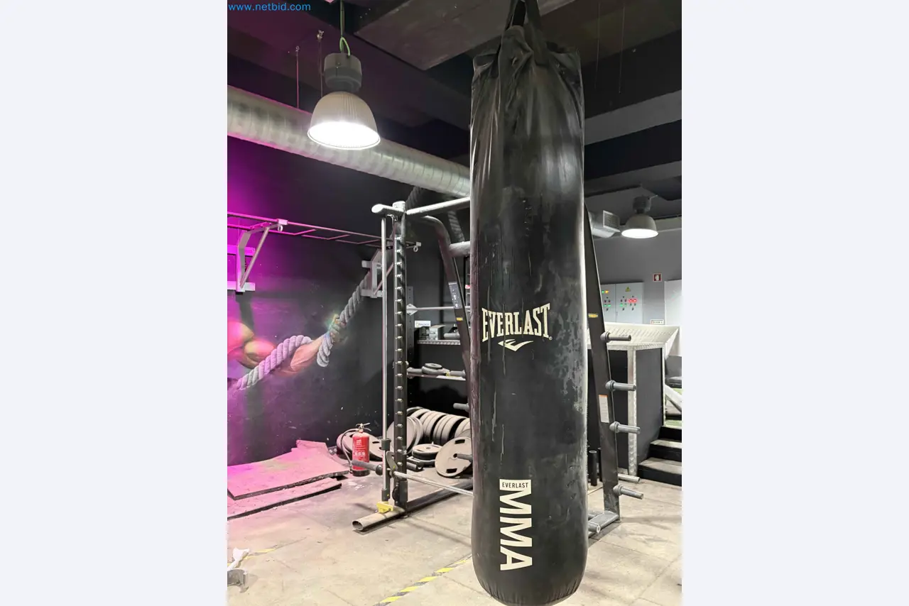 Vente aux enchères de matériel de fitness Technogym d'occasion - Appareils de fitness professionnels-8