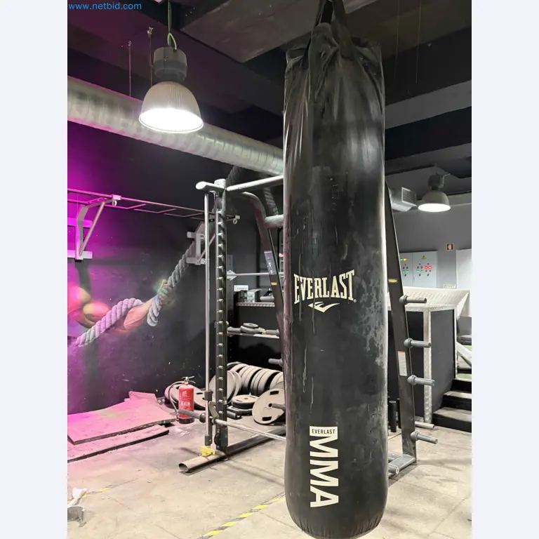 Vente aux enchères de matériel de fitness Technogym d'occasion - Appareils de fitness professionnels-8