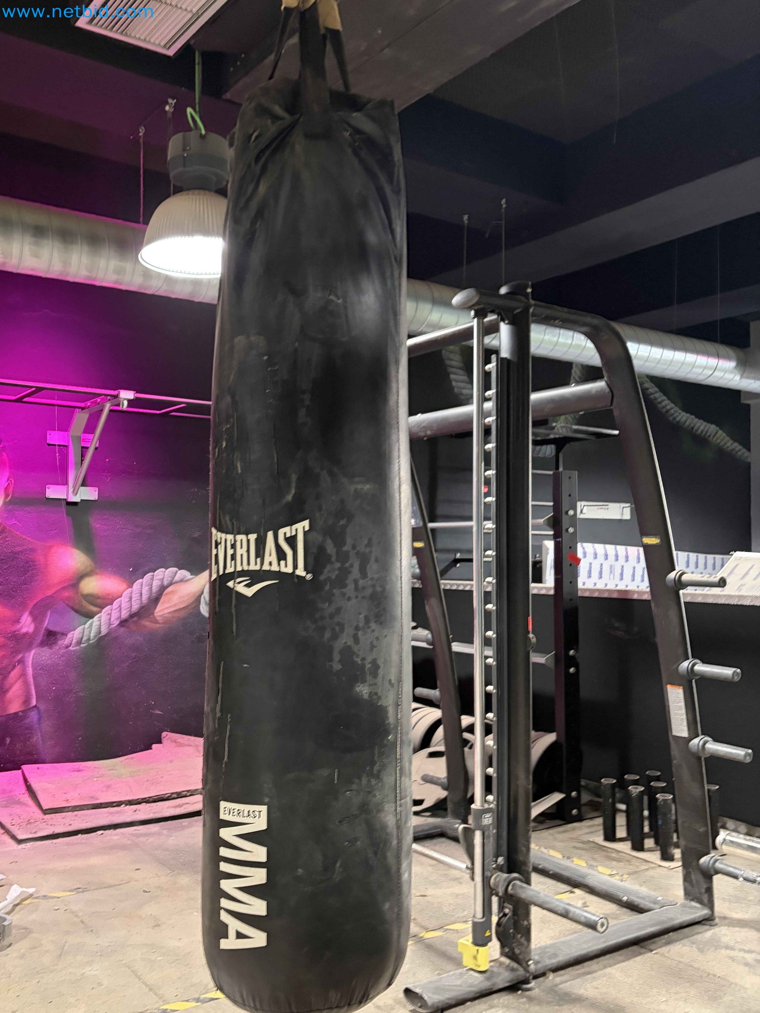 Auction of Used Technogym Gym Equipment – Professional Fitness Machines-9