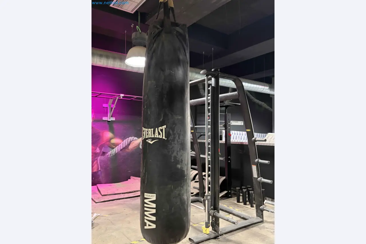 Vente aux enchères de matériel de fitness Technogym d'occasion - Appareils de fitness professionnels-9